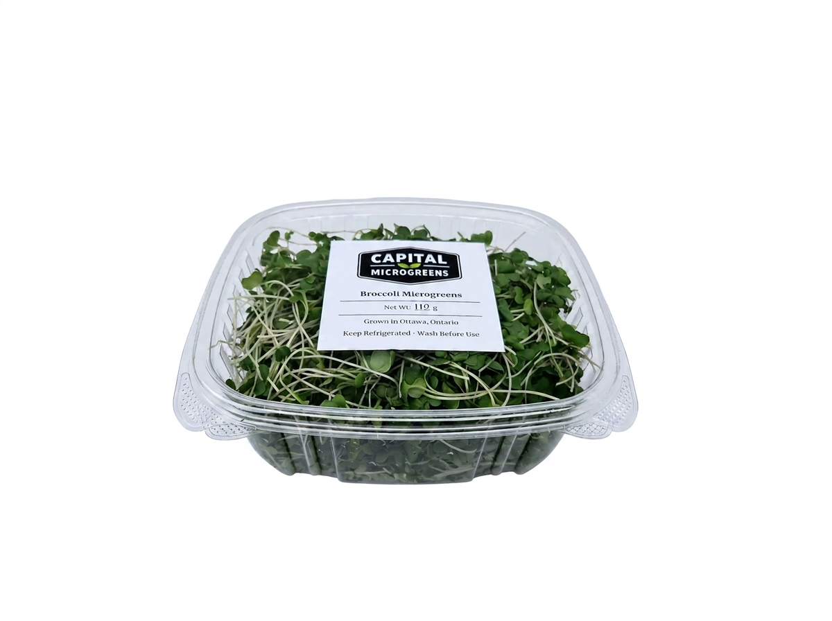 Broccoli microgreens 2