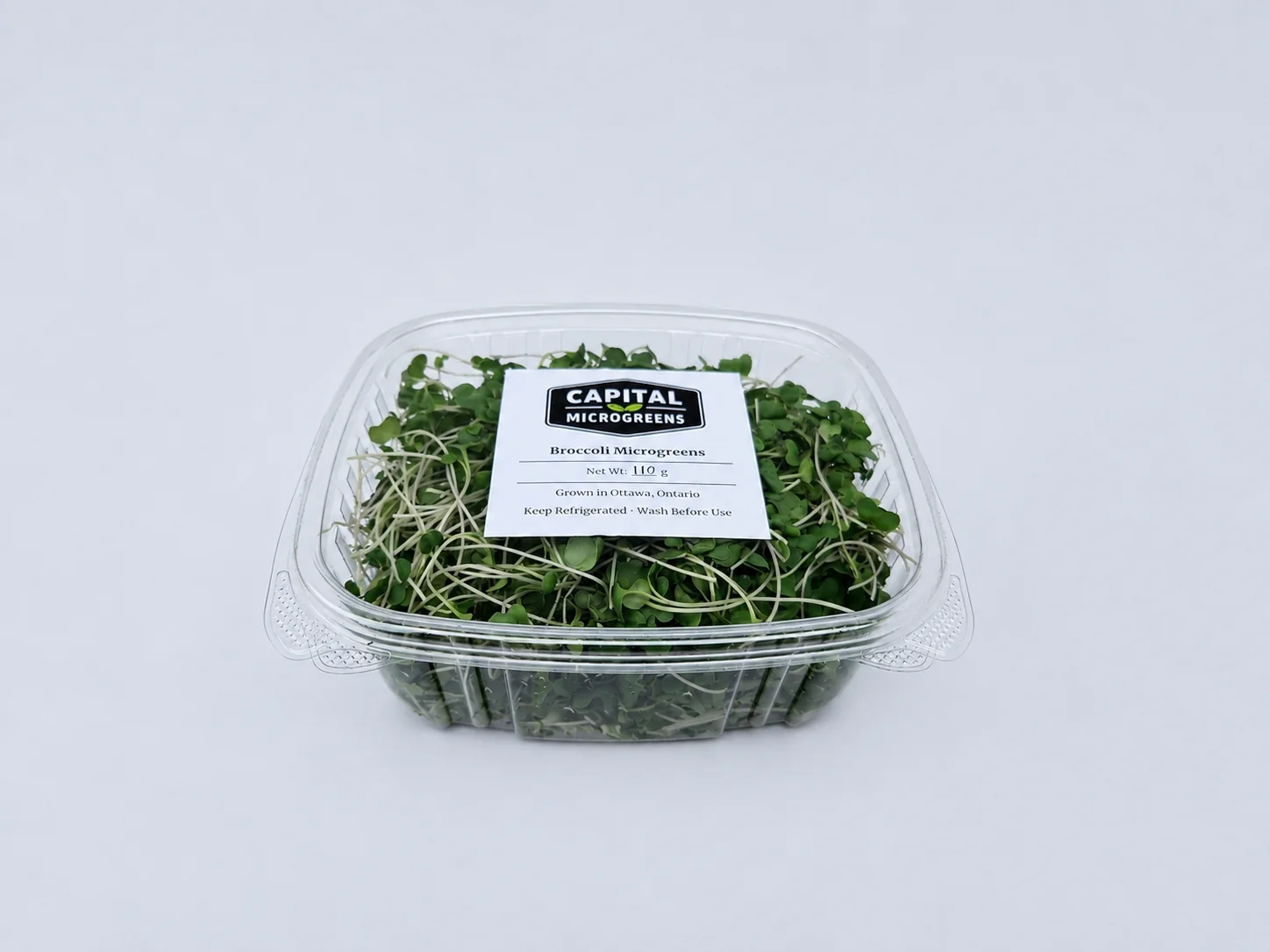 Broccoli microgreens 2