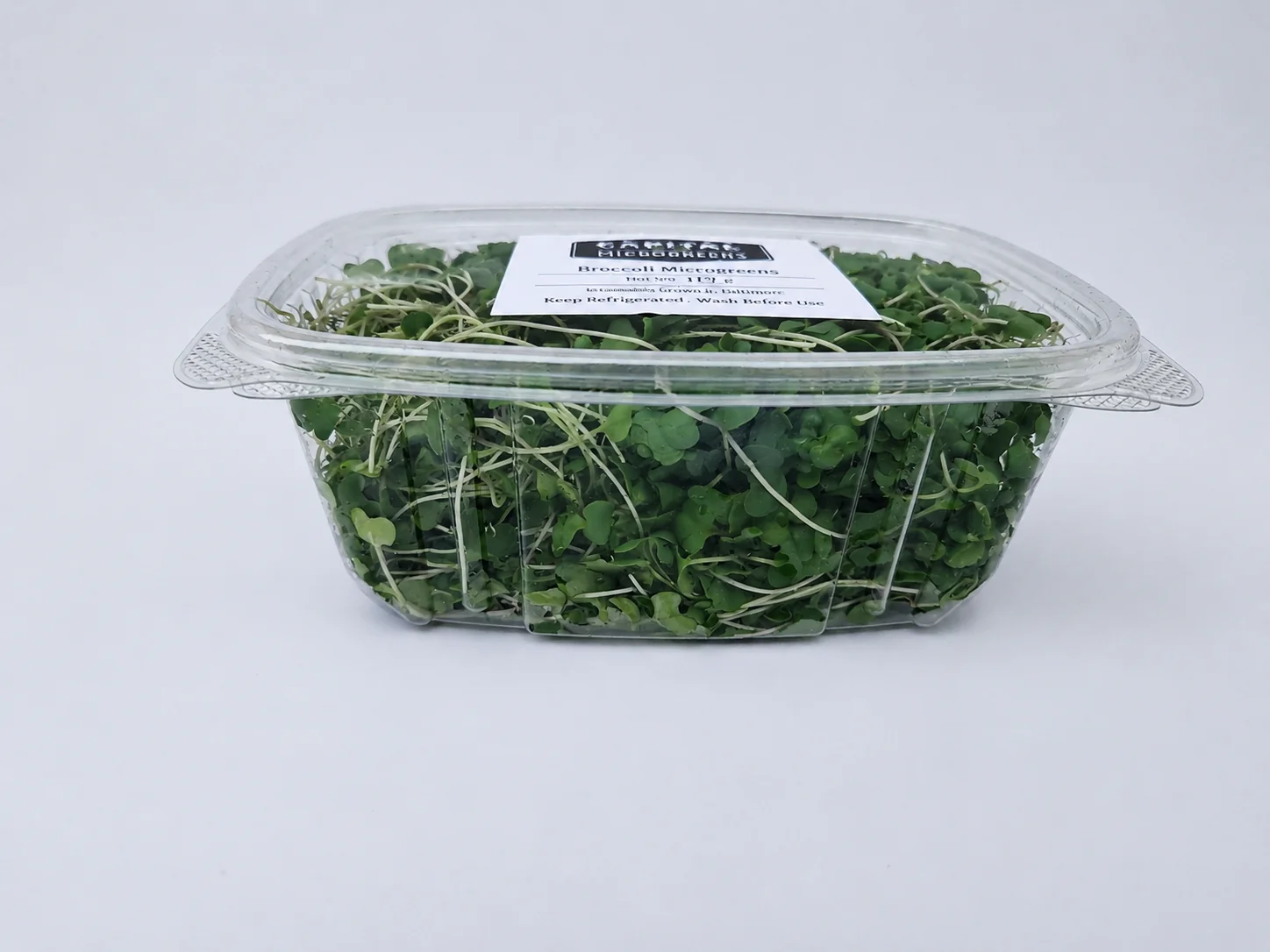 Broccoli microgreens 4