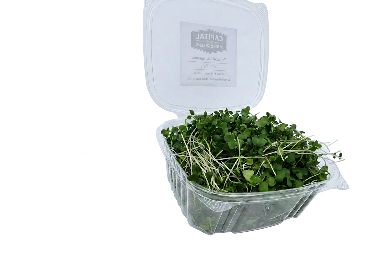 Broccoli microgreens 3