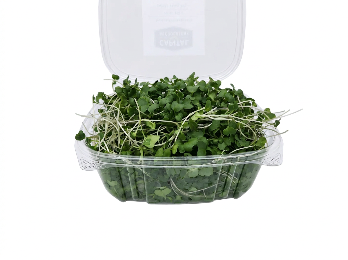 Broccoli microgreens 1