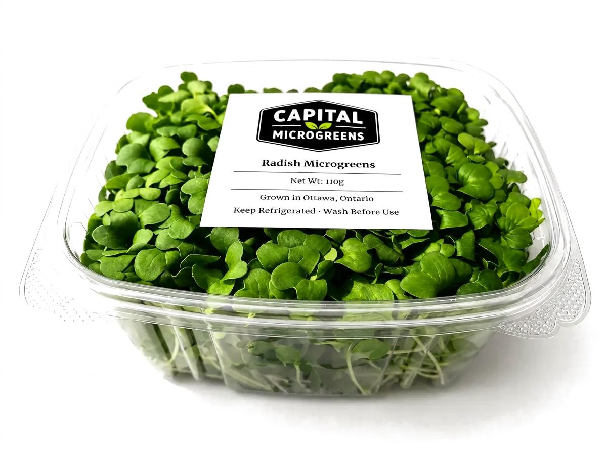 Daikon Radish microgreens 2