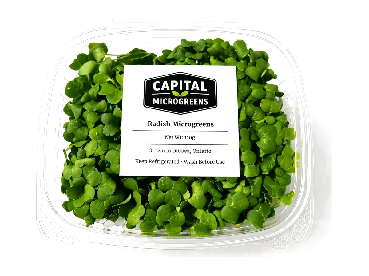 Daikon Radish microgreens 4