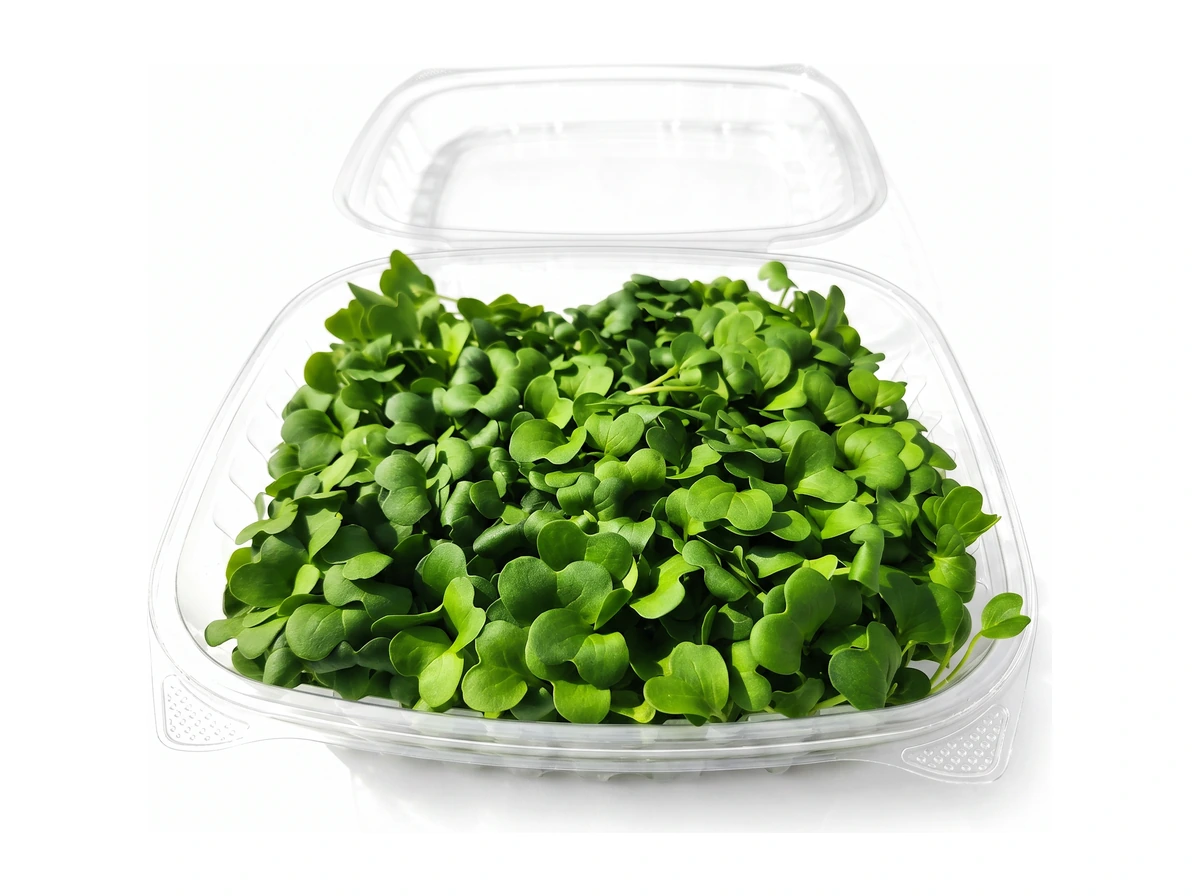 Daikon Radish microgreens 3