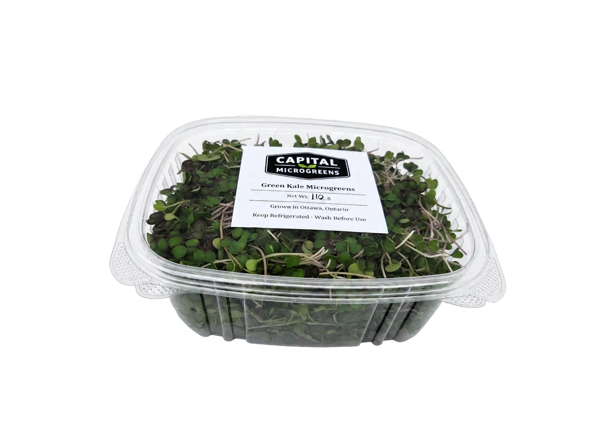 Green Kale microgreens 4