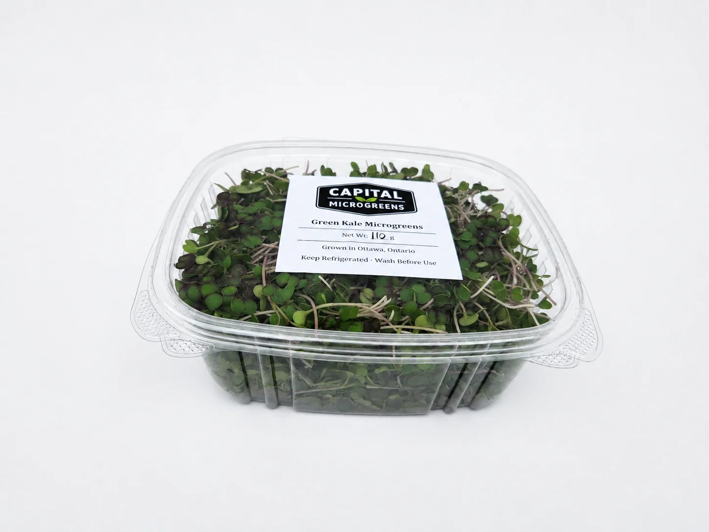 Green Kale microgreens 4