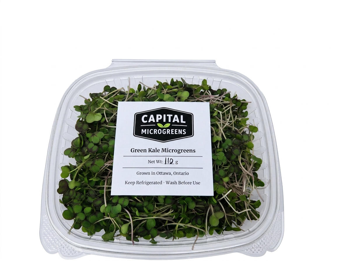 Green Kale microgreens 2