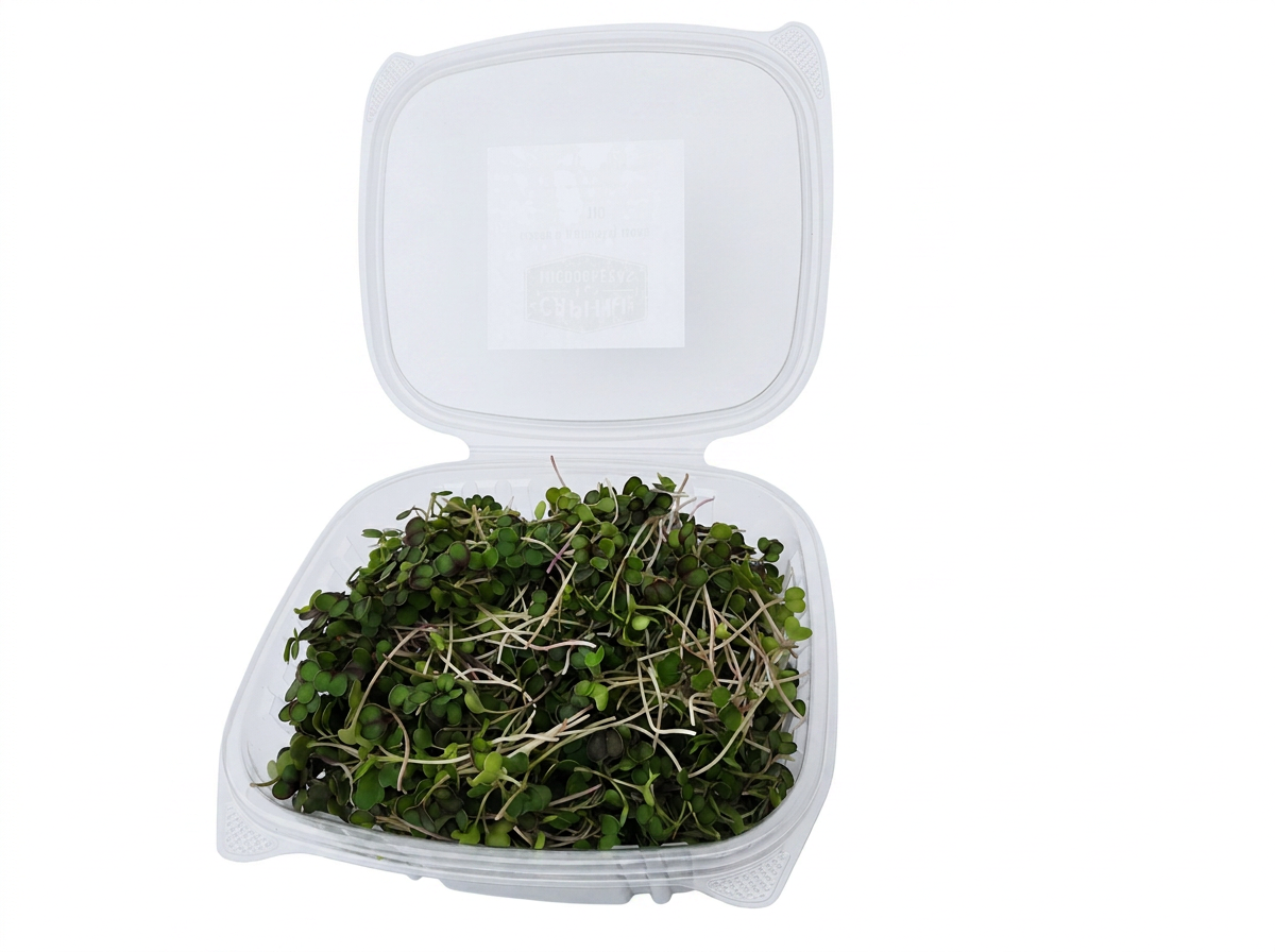 Green Kale microgreens 1