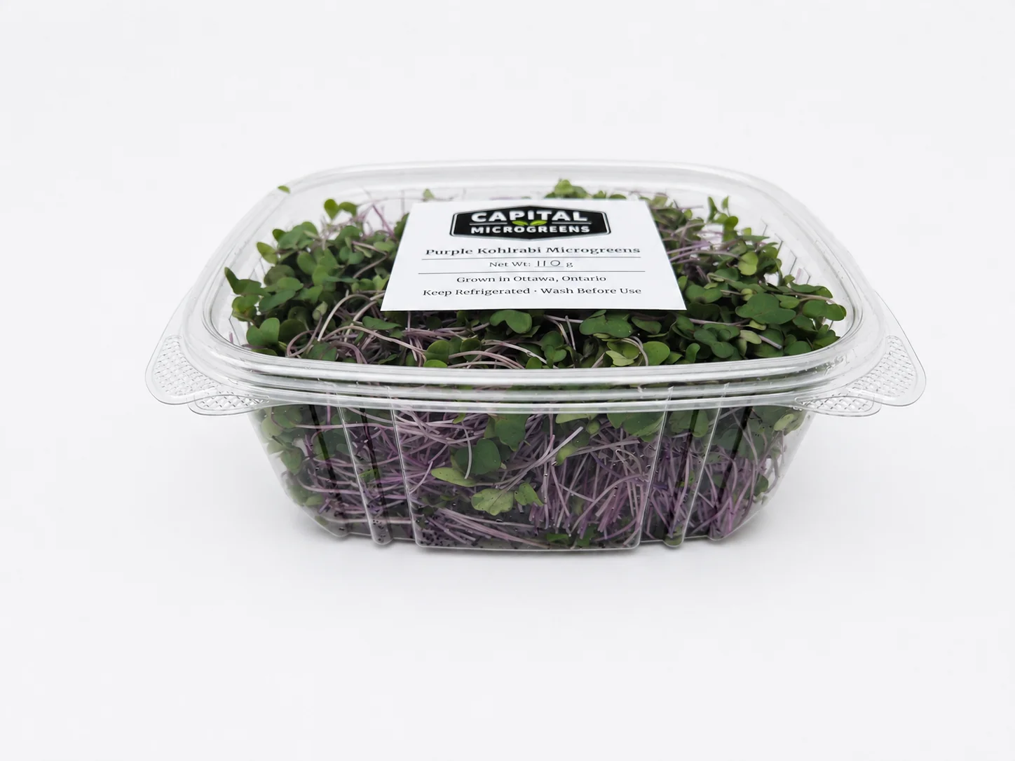 Purple Kohlrabi microgreens 4