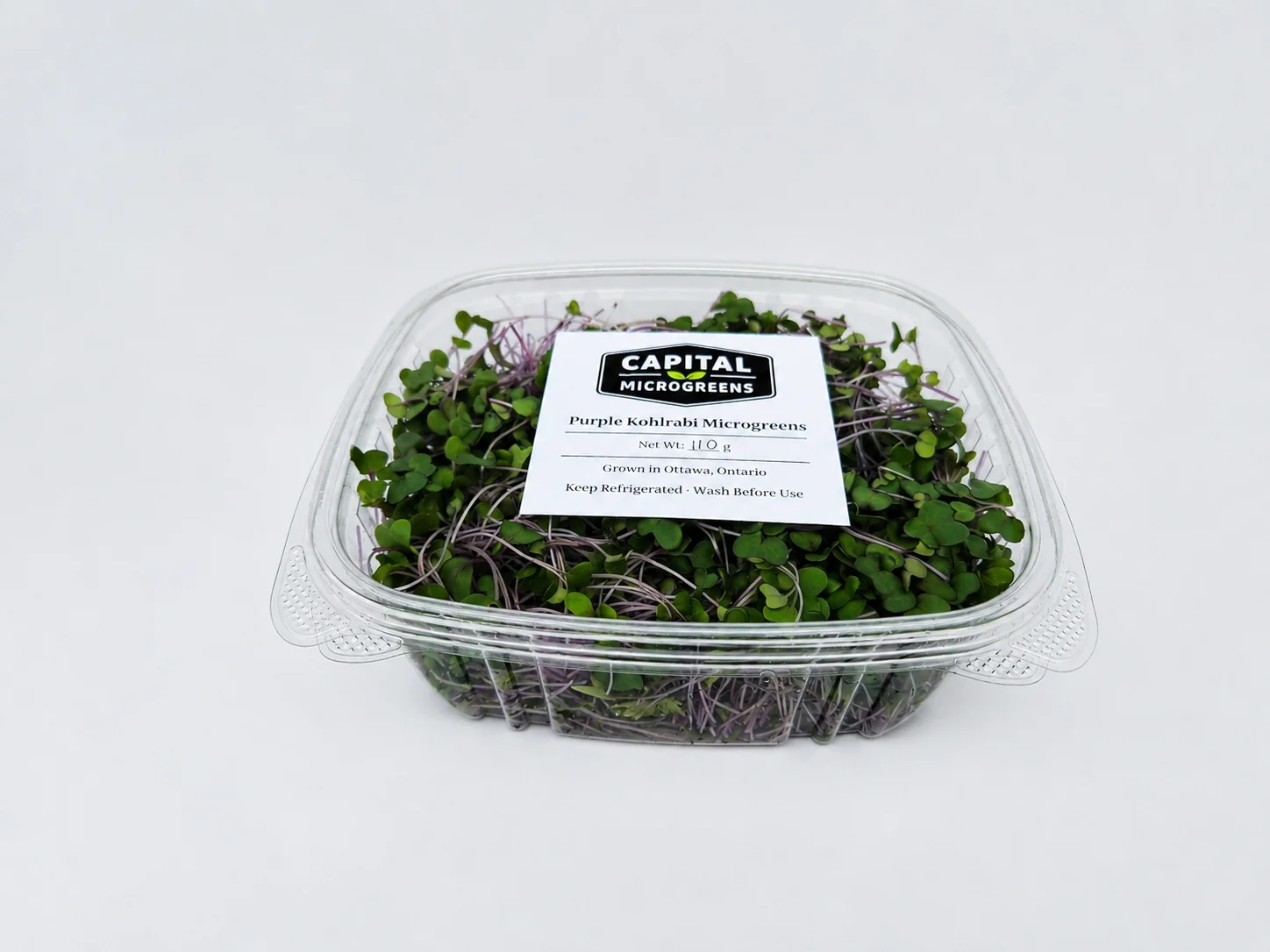 Purple Kohlrabi microgreens 2