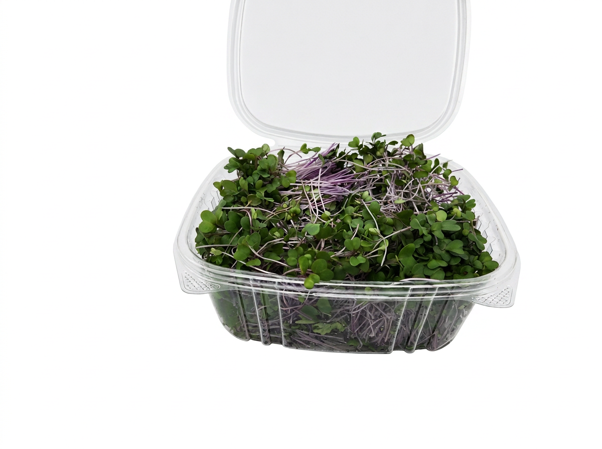 Purple Kohlrabi microgreens 3