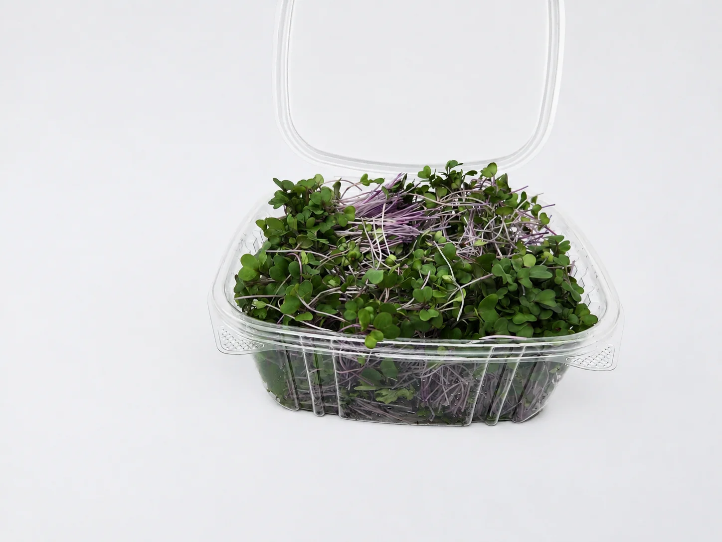 Purple Kohlrabi microgreens 3