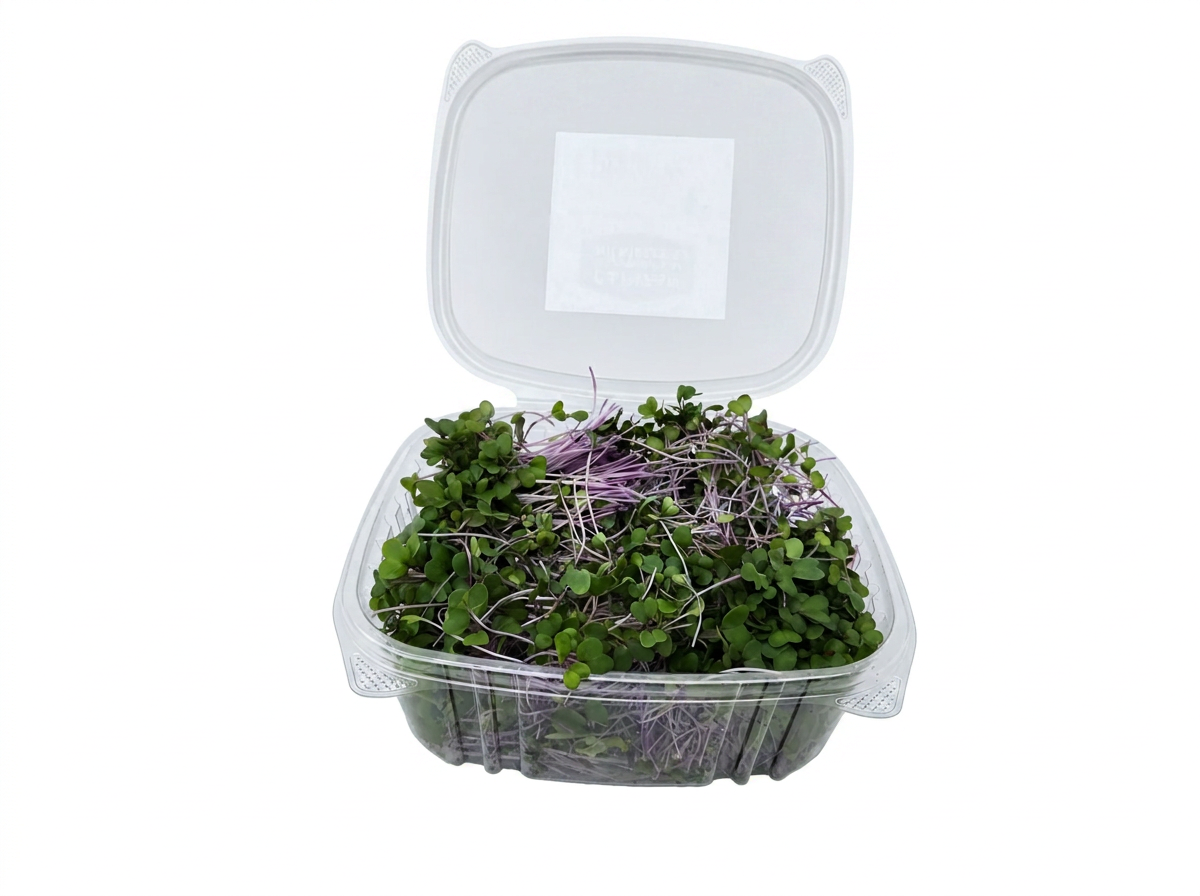 Purple Kohlrabi microgreens 1