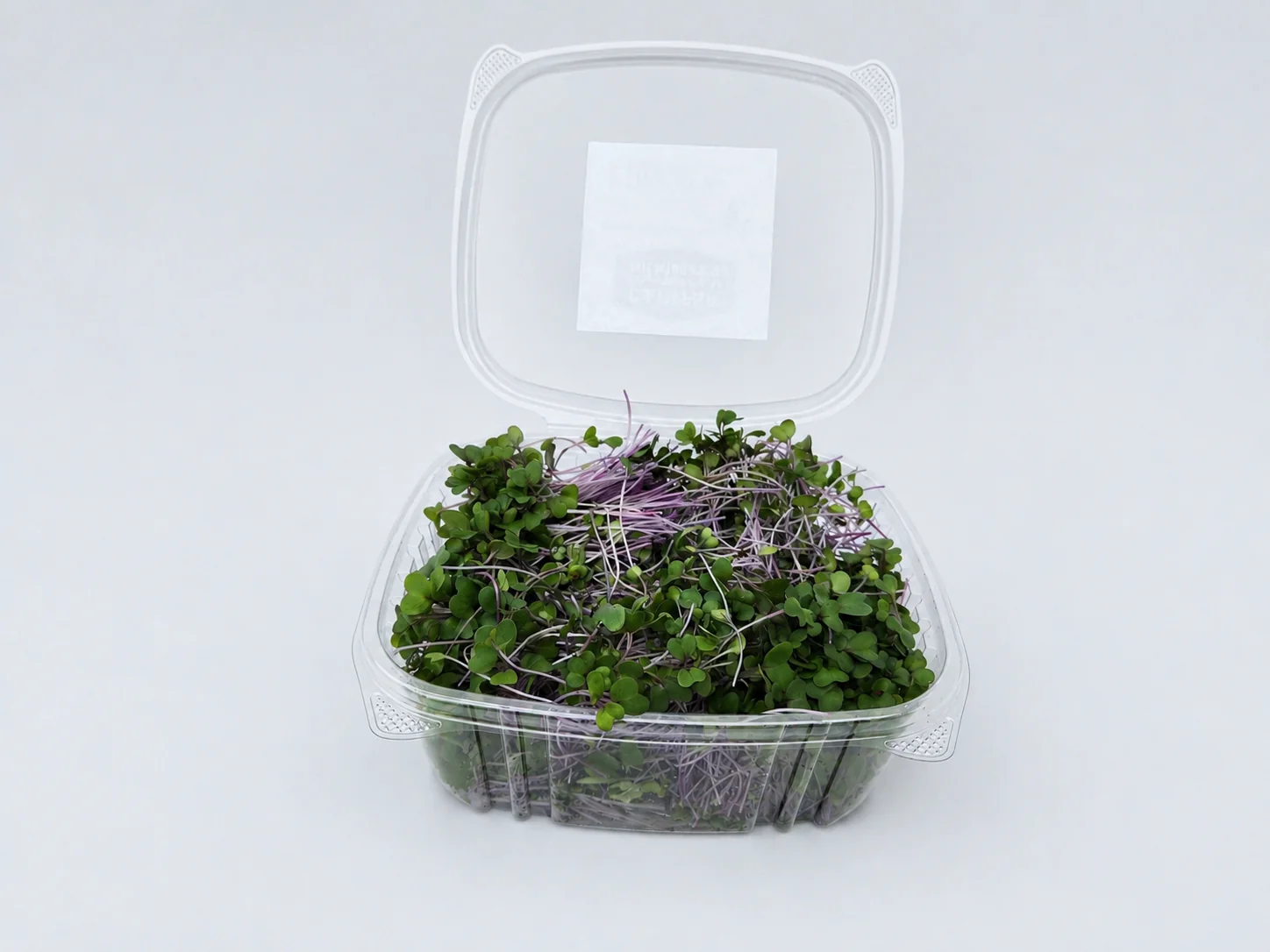 Purple Kohlrabi microgreens 1