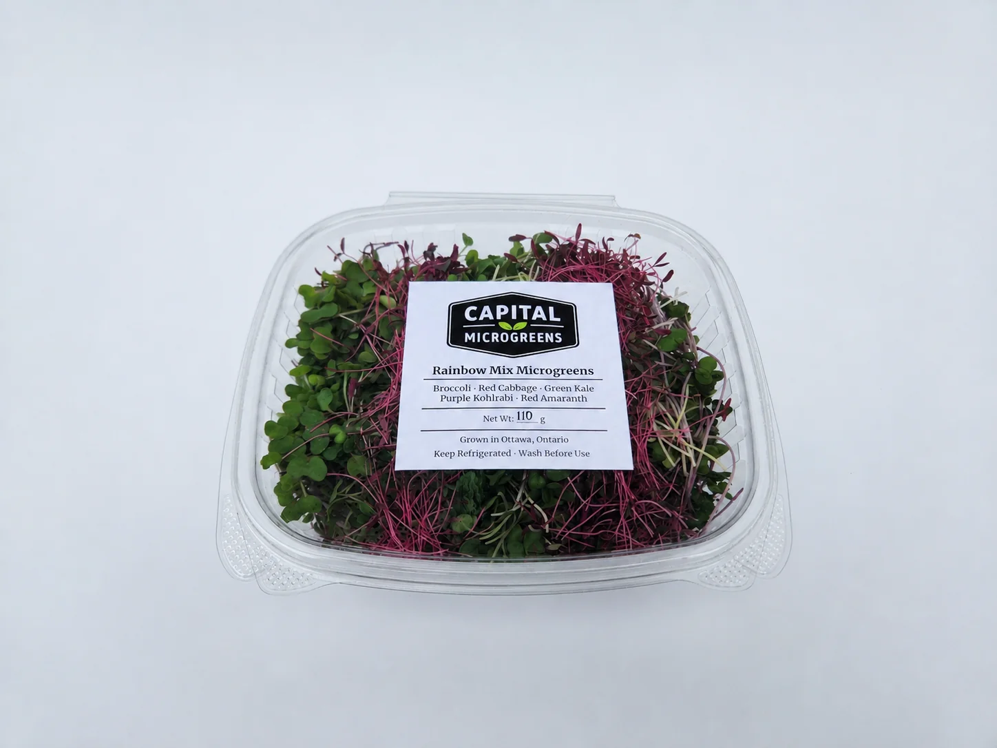 Rainbow Mix microgreens 2