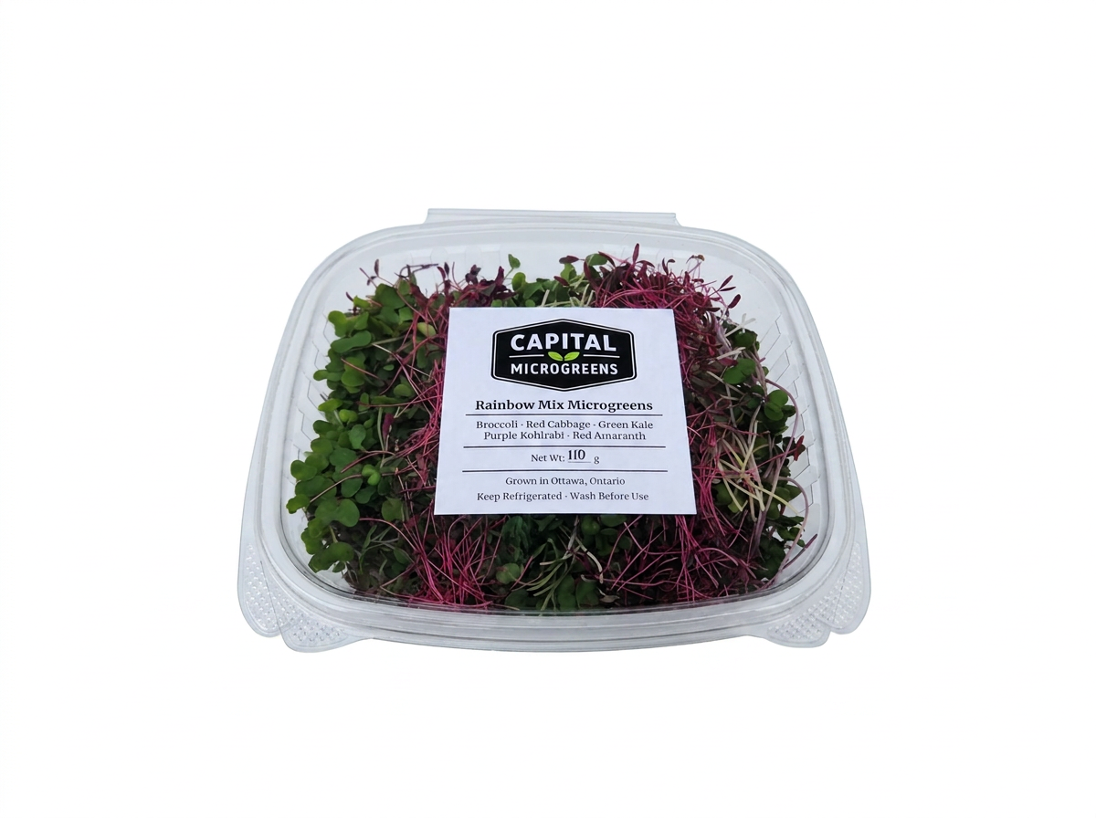 Rainbow Mix microgreens 2