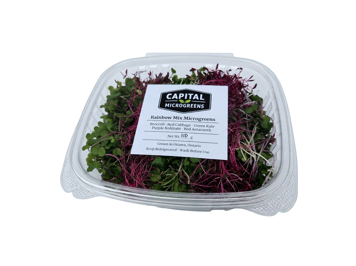Rainbow Mix microgreens 4