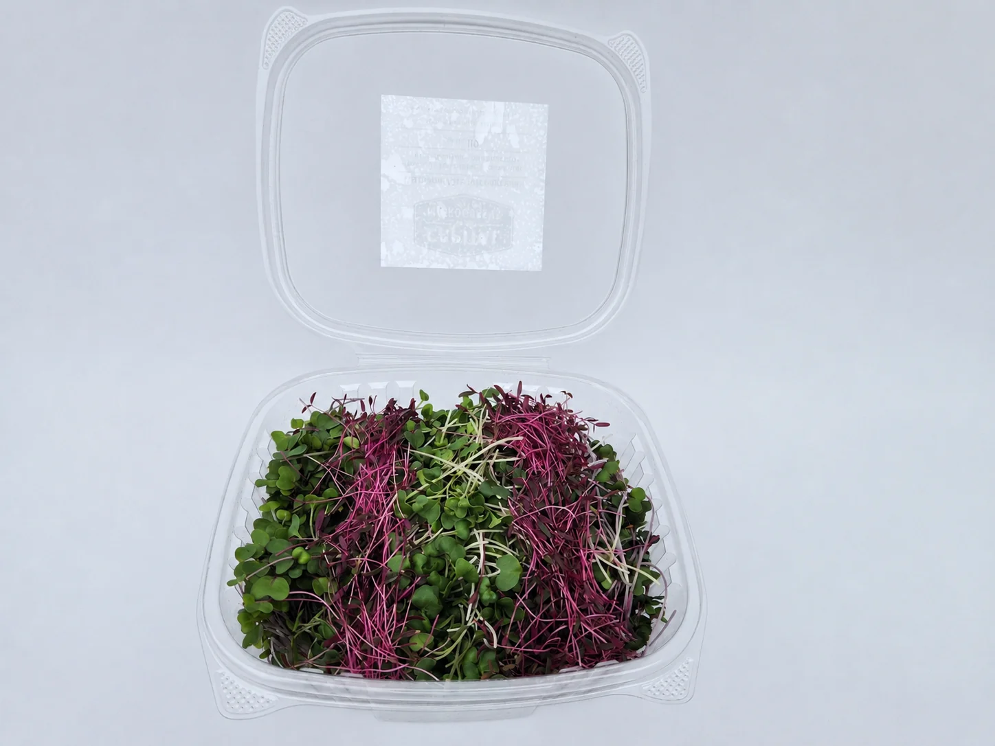 Rainbow Mix microgreens 1