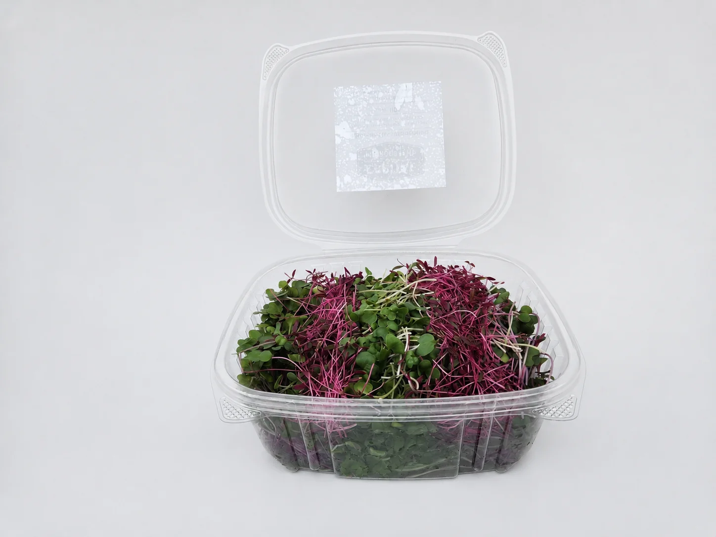 Rainbow Mix microgreens 3