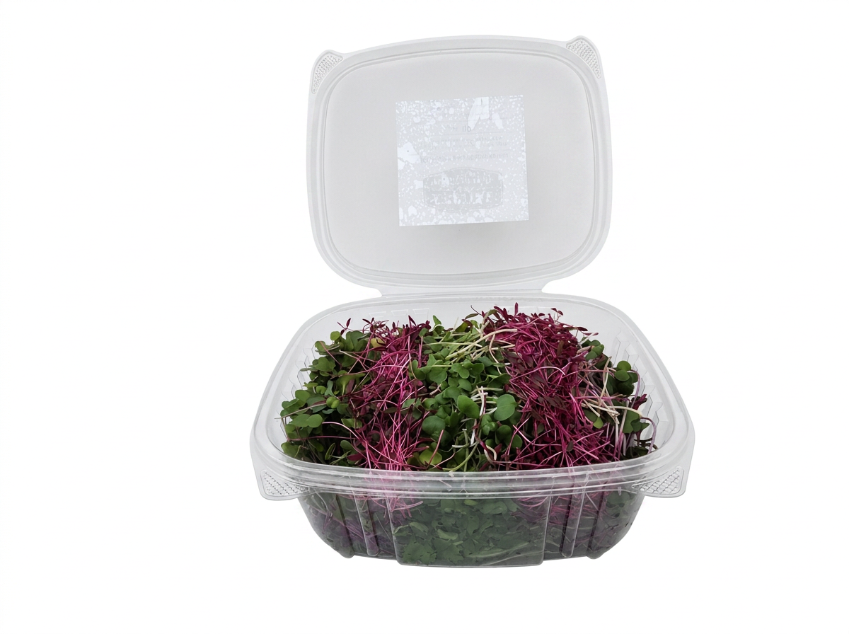 Rainbow Mix microgreens 3