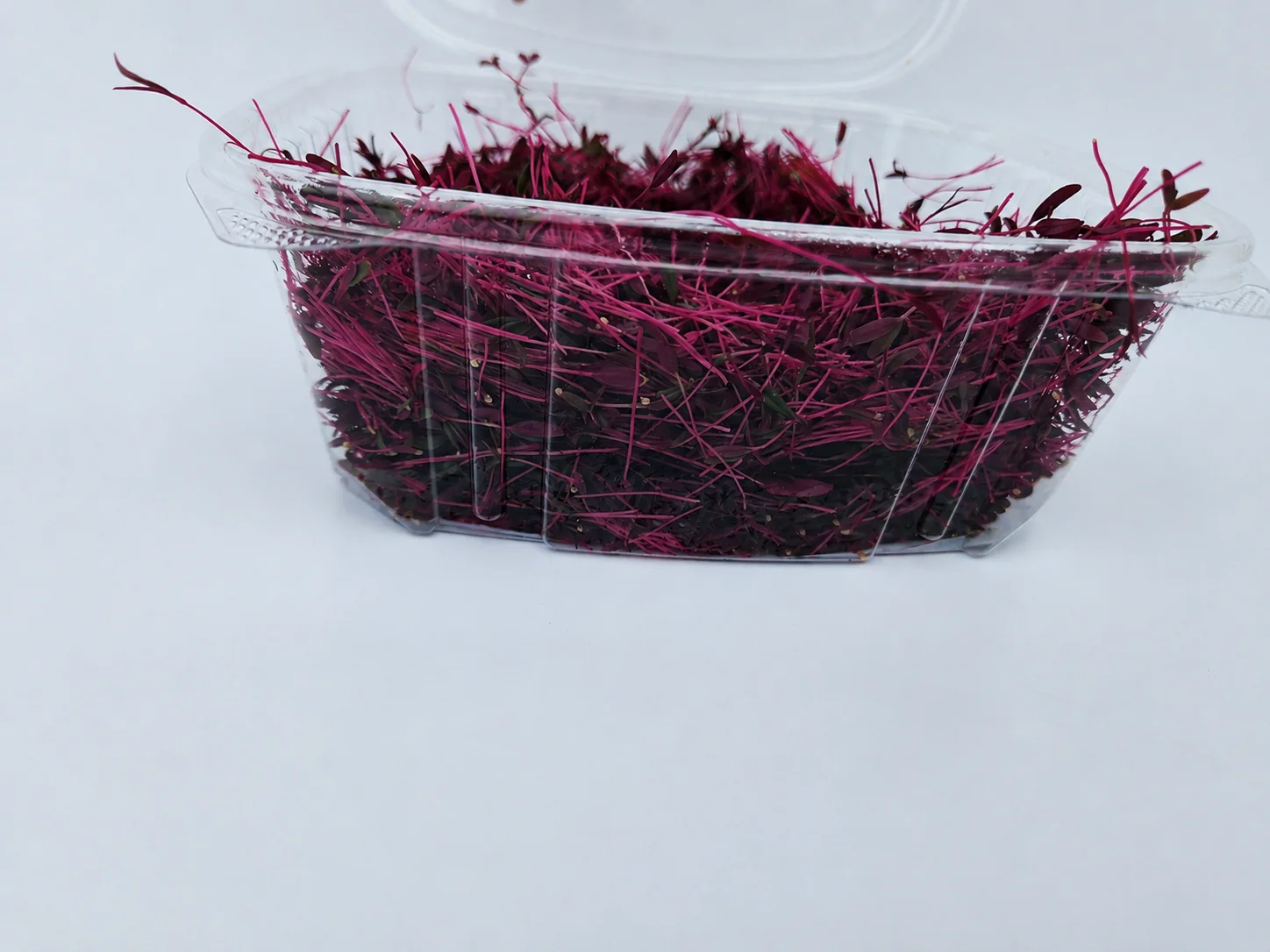 Red Amaranth microgreens 2