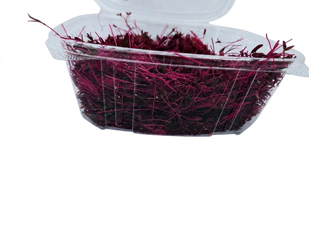 Red Amaranth microgreens 2