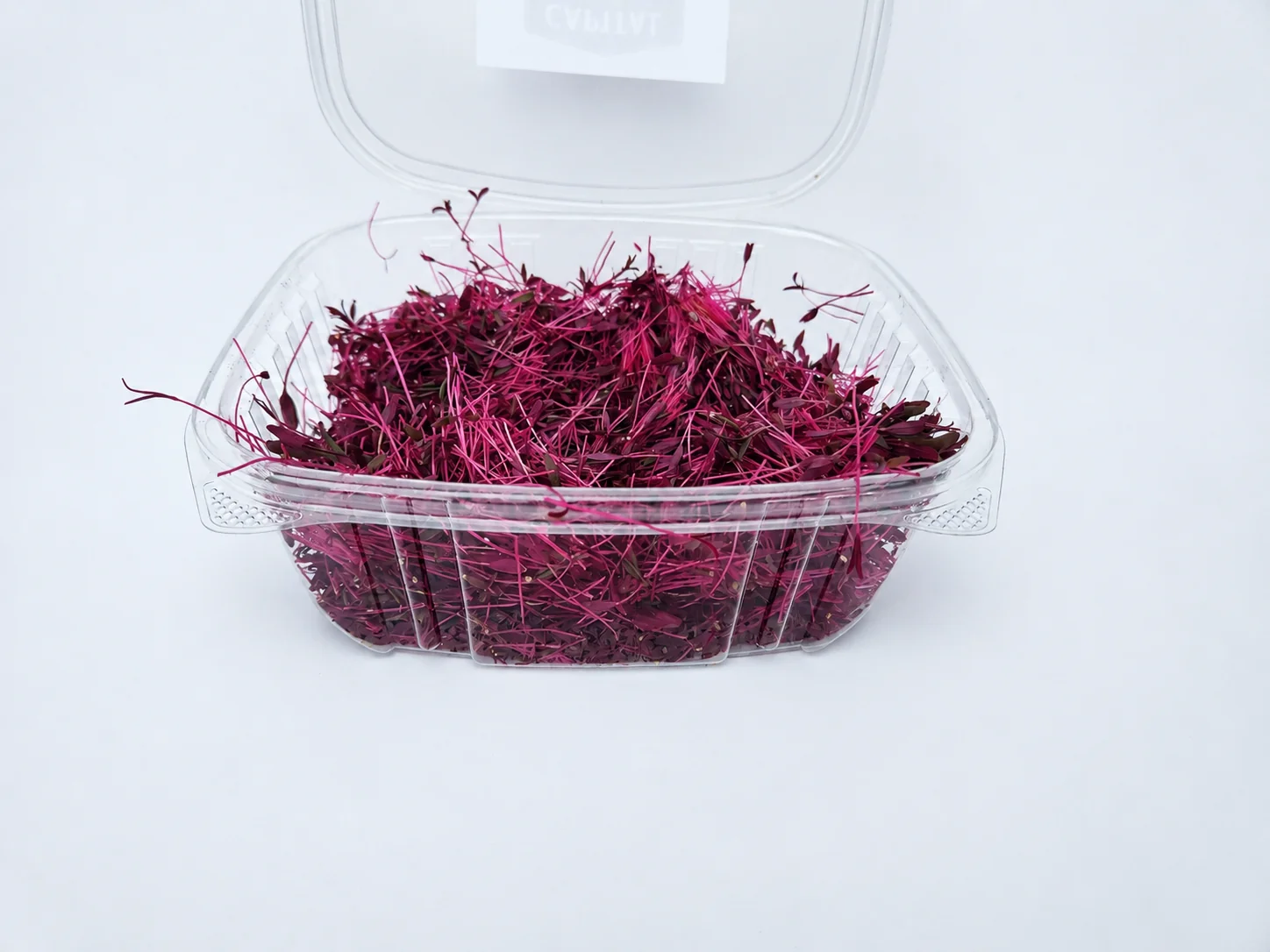 Red Amaranth microgreens 1