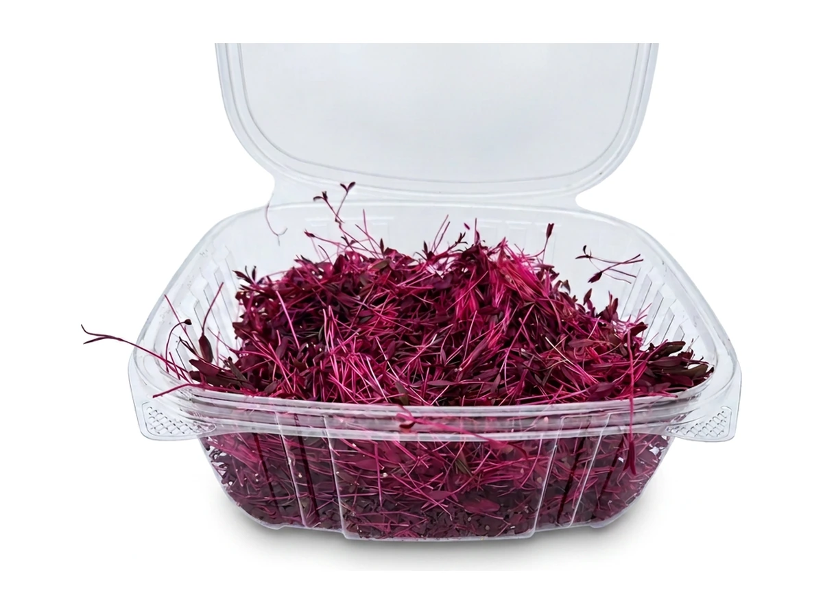 Red Amaranth microgreens 1
