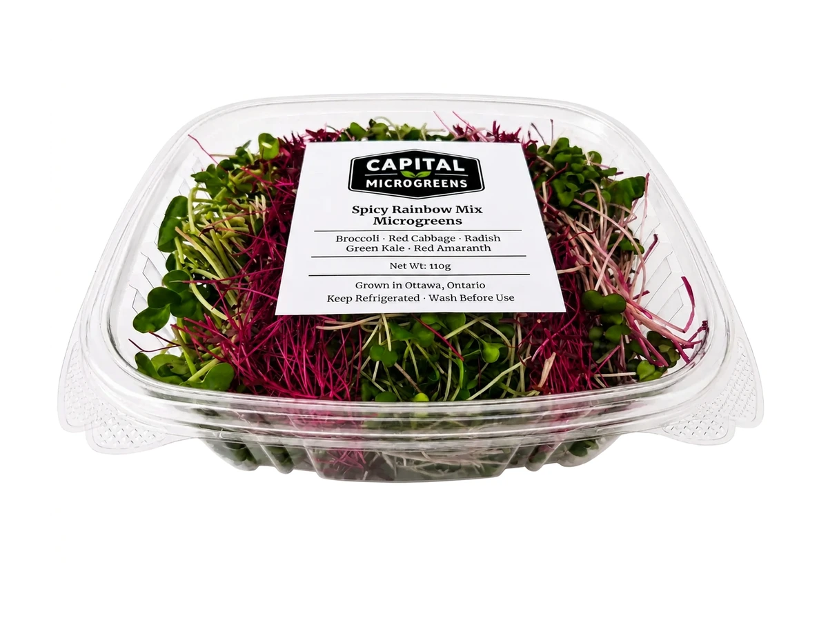 Spicy Rainbow Mix microgreens 4