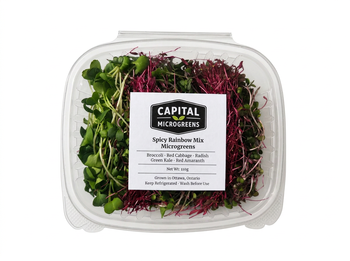 Spicy Rainbow Mix microgreens 2