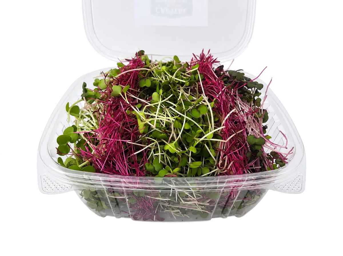 Spicy Rainbow Mix microgreens 3