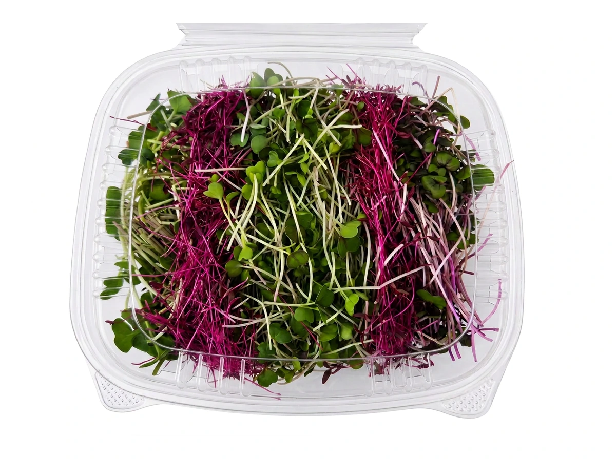 Spicy Rainbow Mix microgreens 1